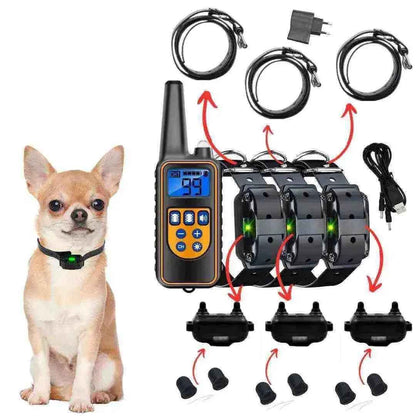 Coleira de adestramento para cachorro com controle remoto, acessórios e cão pequeno ao lado.