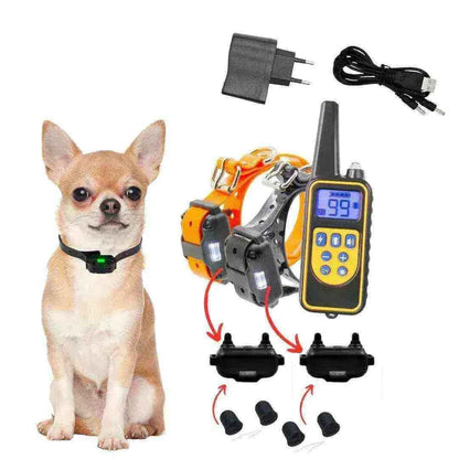 Coleira de adestramento para cachorro com controle remoto, acessórios e cão pequeno