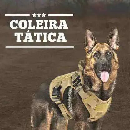 Coleira Peitoral Militar Anti Puxão Para Cães | Mundo Animalito - Mundo Animalito