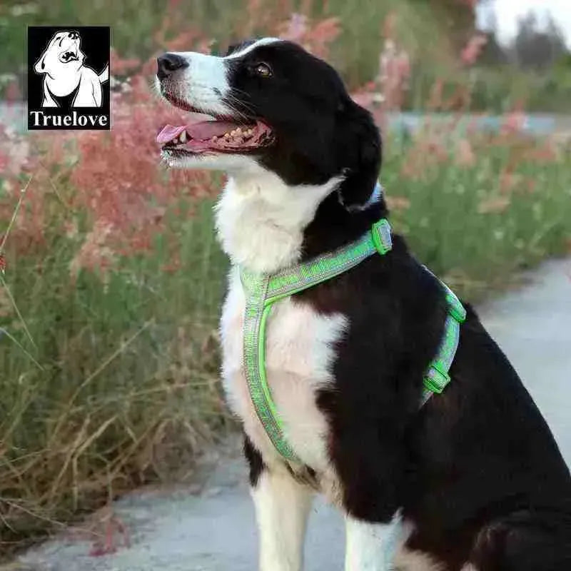 Coleira Peitoral para Cachorros Ajustável e Refletiva - True Love - Mundo Animalito