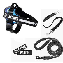 Coleira Peitoral Personalizada + 2 Tags + Guia + Cinto de Segurança - Mundo Animalito