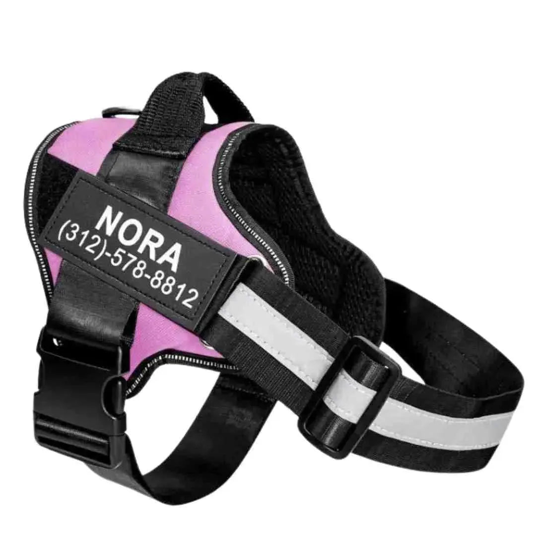 Coleira Peitoral Personalizada Safe Buddy - Rosa Claro / PP - Peitoral Personalizado Para Cachorro Ajustável