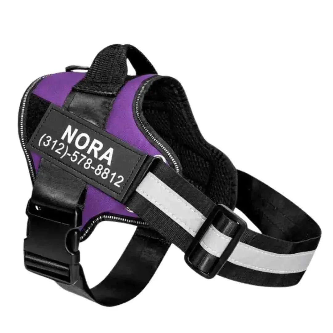 Coleira Peitoral Personalizada Safe Buddy - Roxa / PP - Peitoral Personalizado Para Cachorro Ajustável e Refletivo