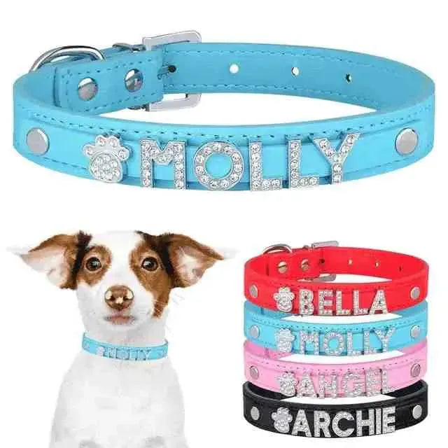 Coleira Personalizada Charms Para Cães e Gatos - Mundo Animalito