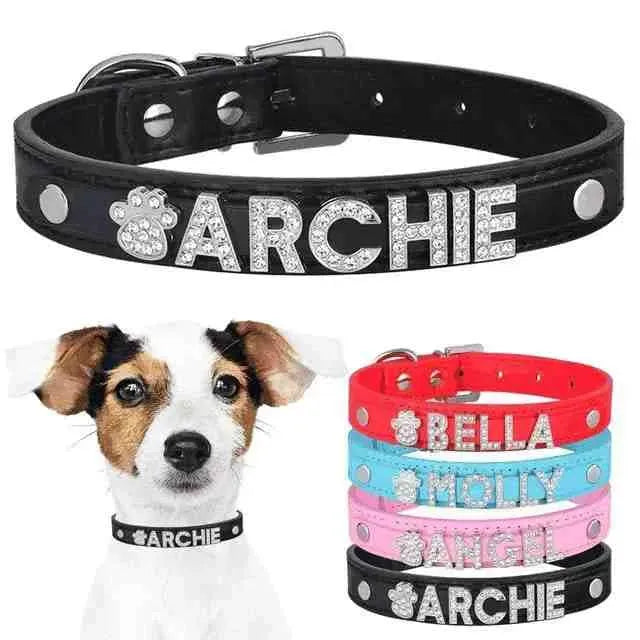 Coleira Personalizada Charms Para Cães e Gatos - Mundo Animalito