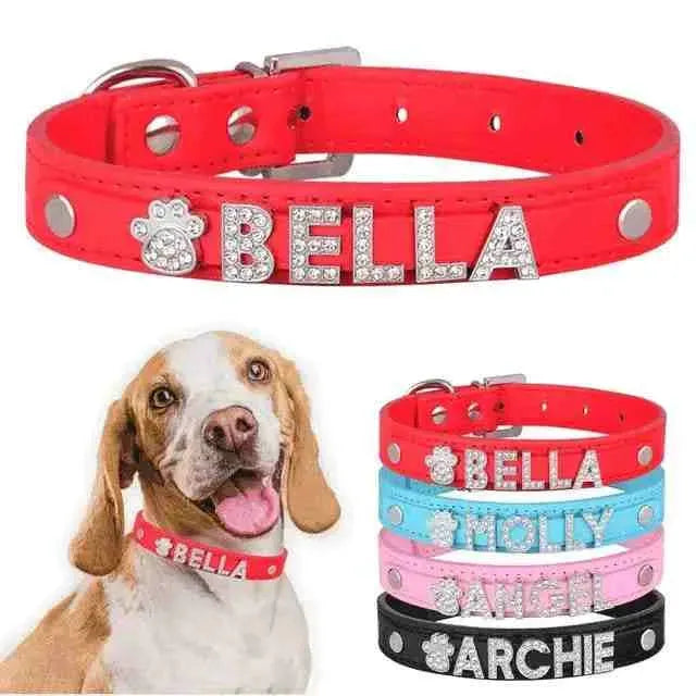 Coleira Personalizada Charms Para Cães e Gatos - Mundo Animalito