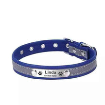 Coleira Personalizada Para Cães e Gatos - Mundo Animalito