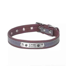 Coleira Personalizada Para Cães e Gatos - Mundo Animalito