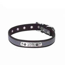 Coleira Personalizada Para Cães e Gatos - Mundo Animalito
