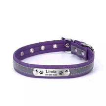 Coleira Personalizada Para Cães e Gatos - Mundo Animalito