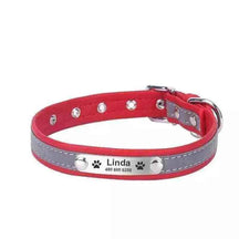 Coleira Personalizada Para Cães e Gatos - Mundo Animalito