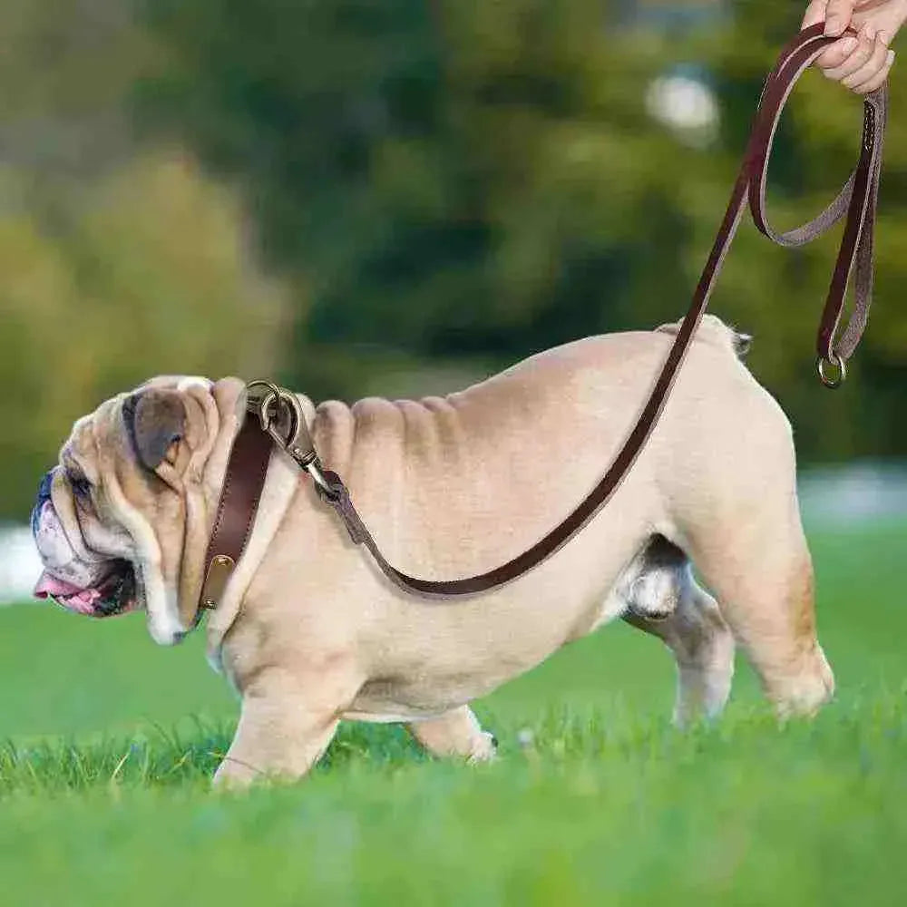 Coleira Personalizada de Couro com Nome, Telefone e Endereço para Cachorros - Mundo Animalito