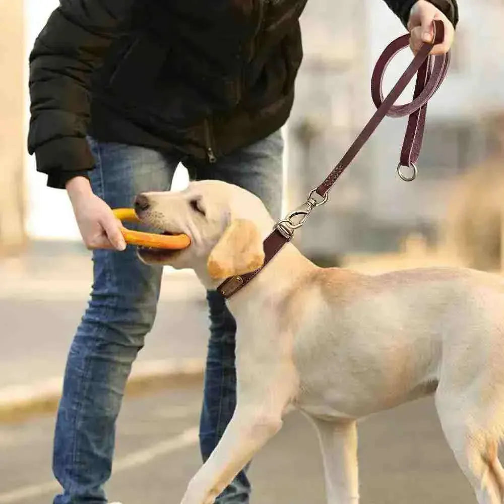 Coleira Personalizada de Couro com Nome, Telefone e Endereço para Cachorros - Mundo Animalito