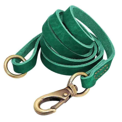 Coleira de couro verde personalizada para cachorro com fecho de metal dourado.