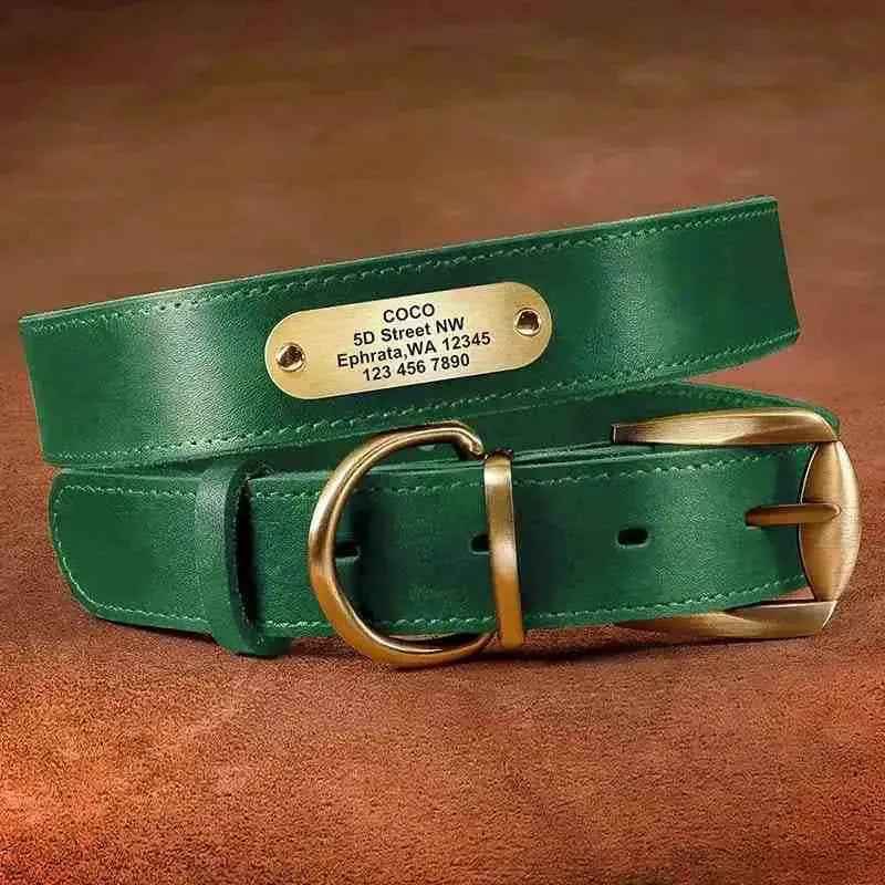 Coleira de couro verde personalizada com placa de identificação para cachorro