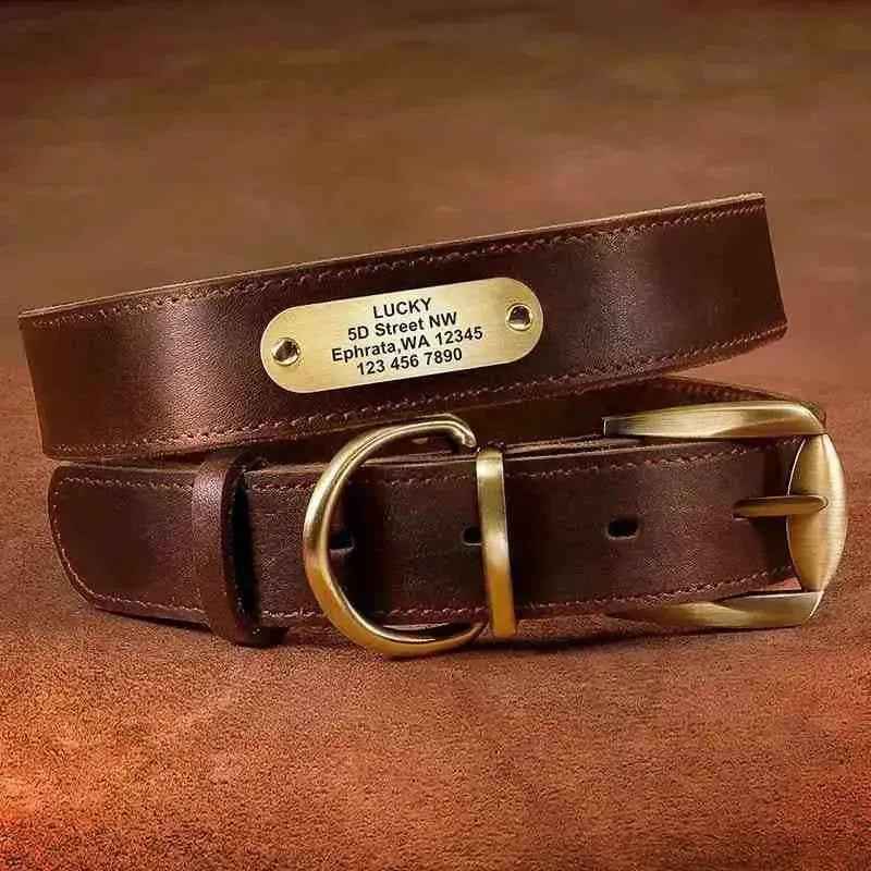 Coleira de couro personalizada para cachorro com placa de nome, telefone e endereço.