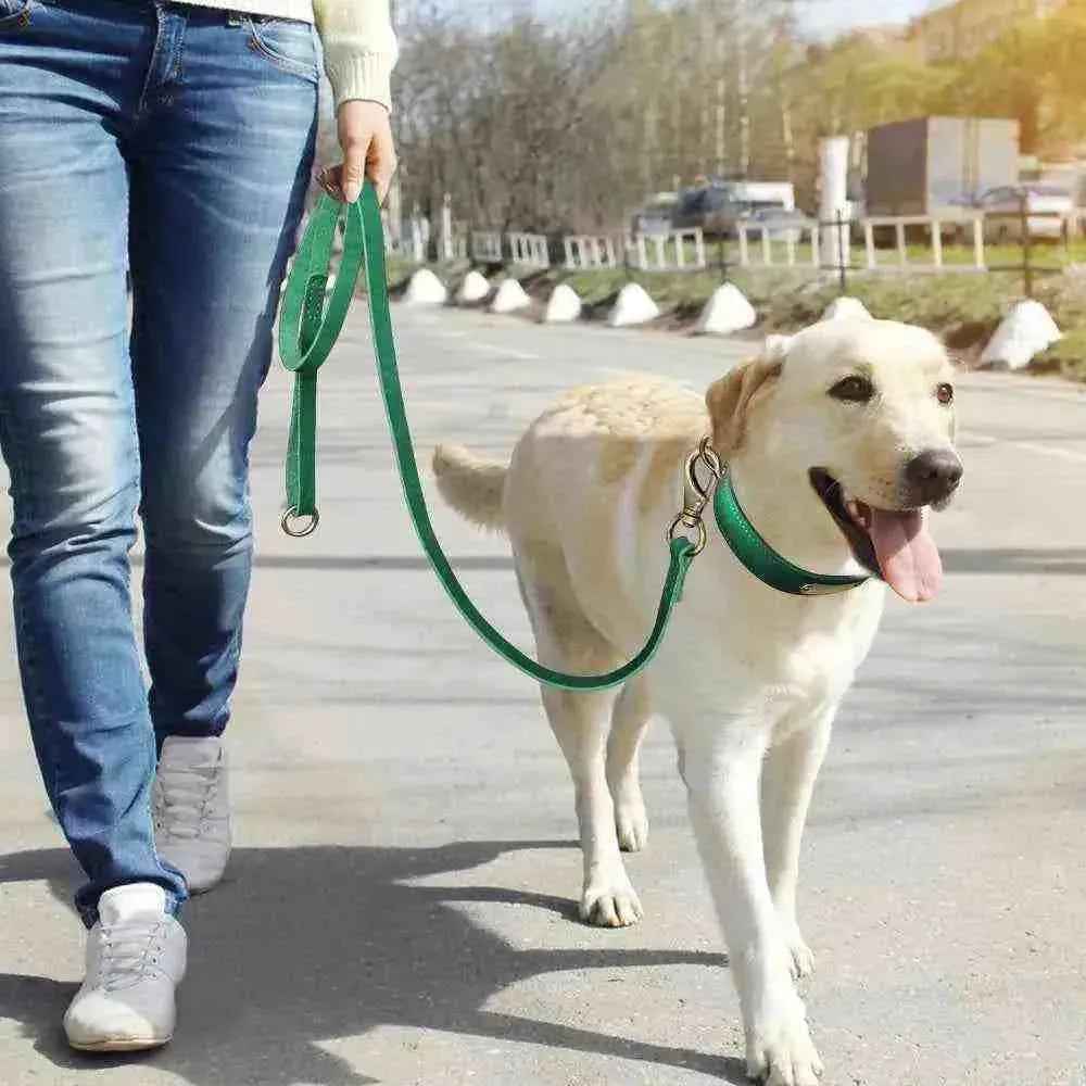 Cachorro com coleira de couro personalizada verde, nome e telefone, passeando na rua com humano