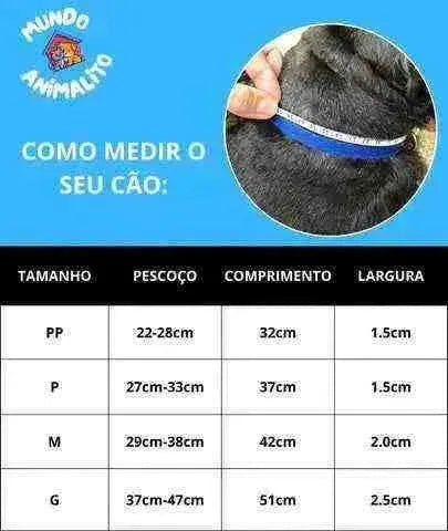 Coleira Personalizada de Couro para Cachorro - Mundo Animalito