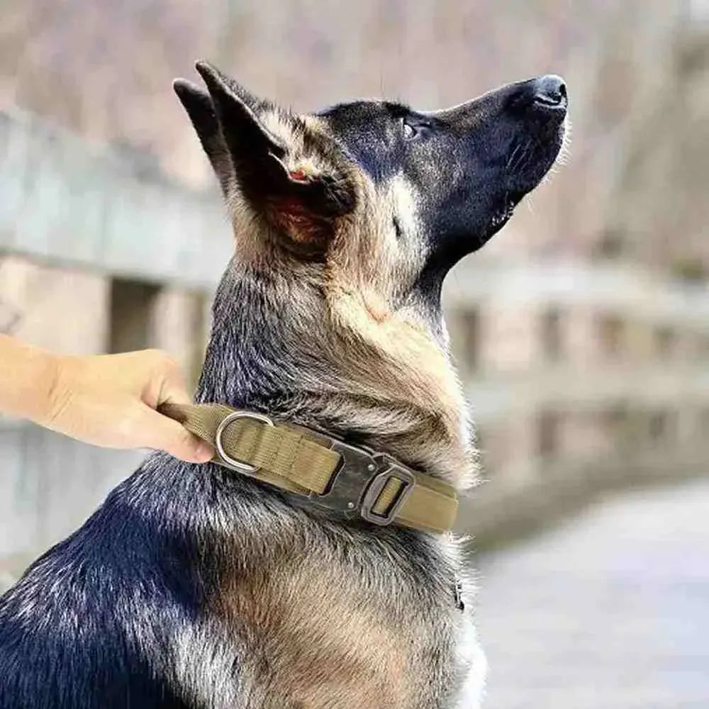 Coleira Tática Militar Para Cães Ultra Reforçada - Mundo Animalito