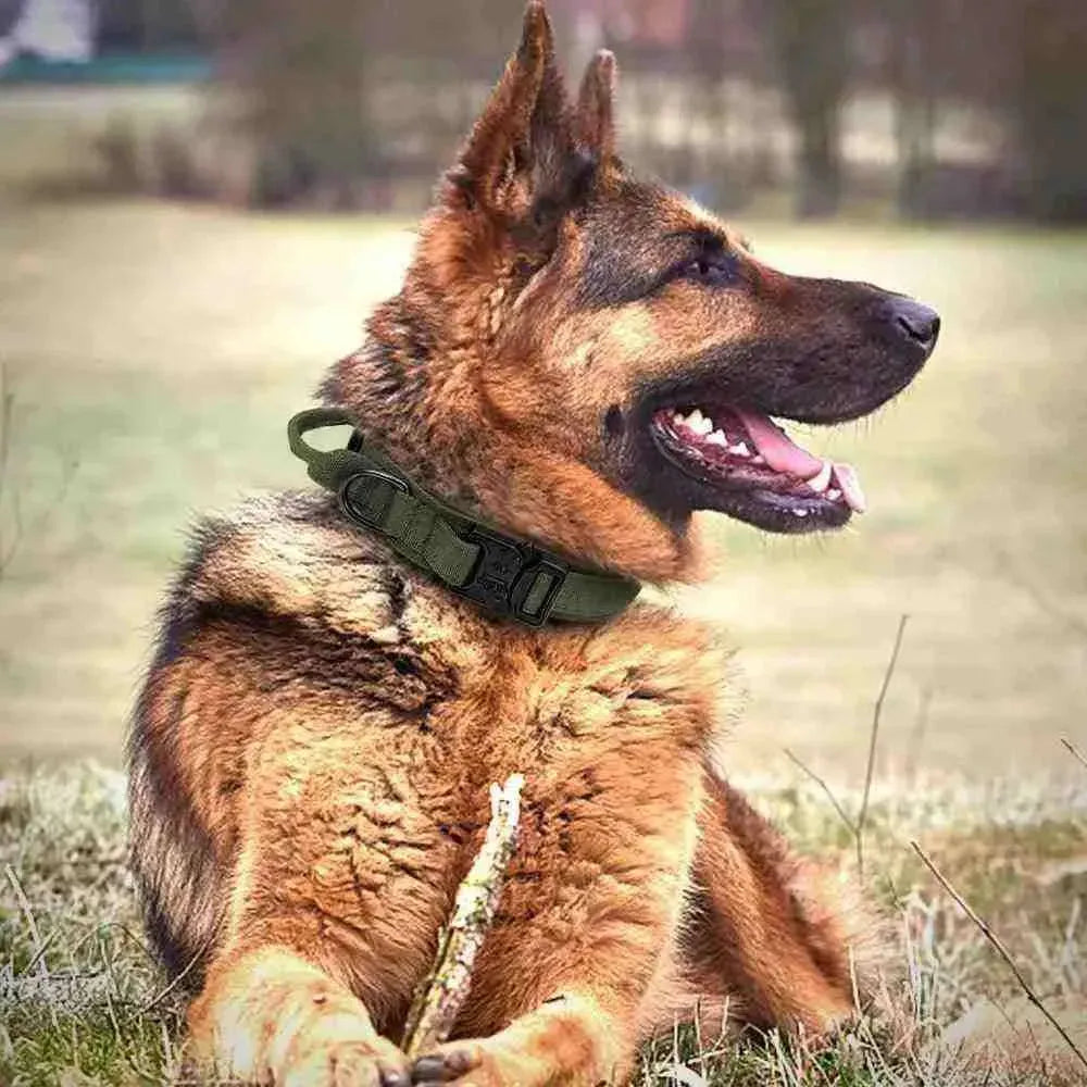 Coleira Tática Militar Para Cães Ultra Reforçada - Mundo Animalito