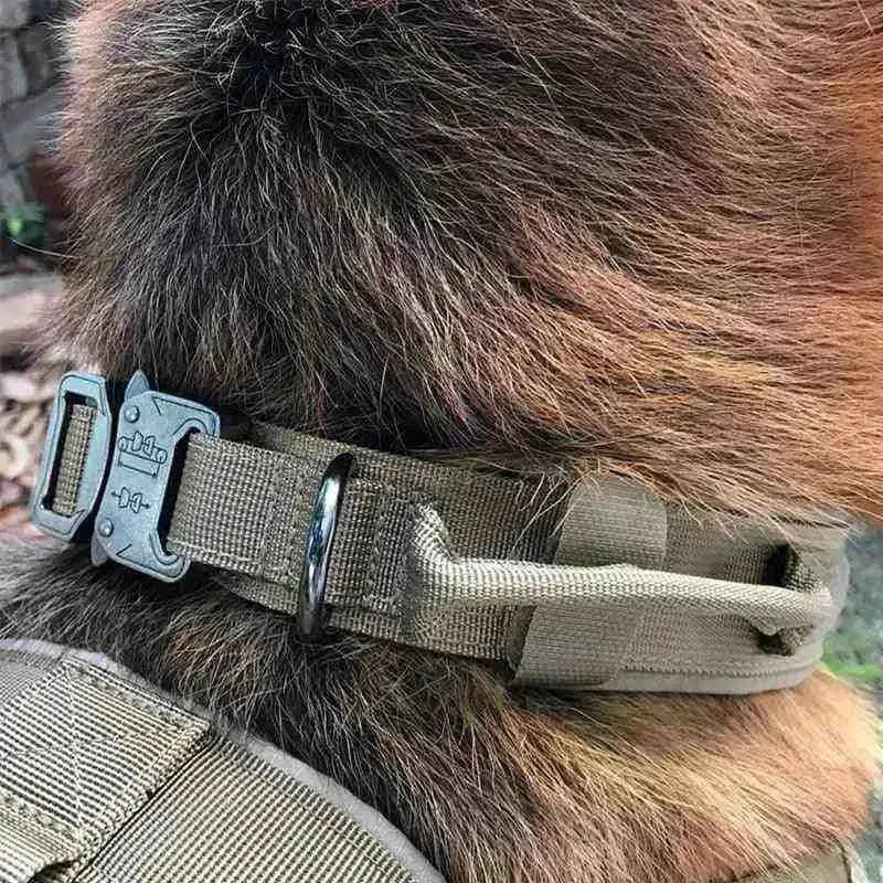 Coleira Tática Militar Personalizada - Mundo Animalito