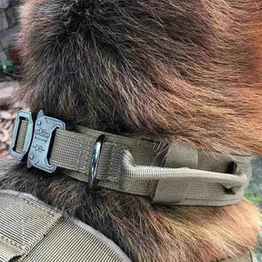 Coleira Tática Militar Personalizada - Mundo Animalito