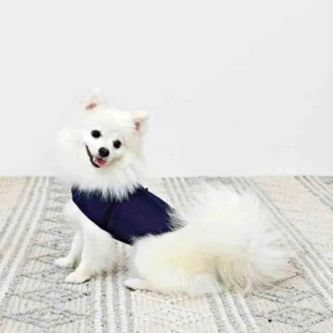 Colete Anti Pânico Para Cães - Antistress e Antiansiedade - Mundo Animalito