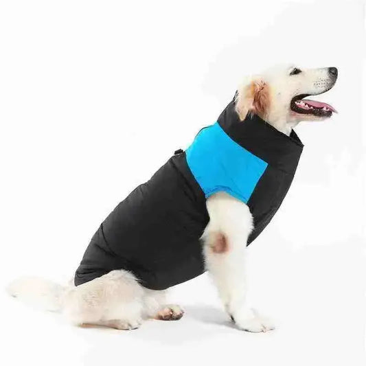 Colete de Inverno para Cachorros | Mundo Animalito - Mundo Animalito