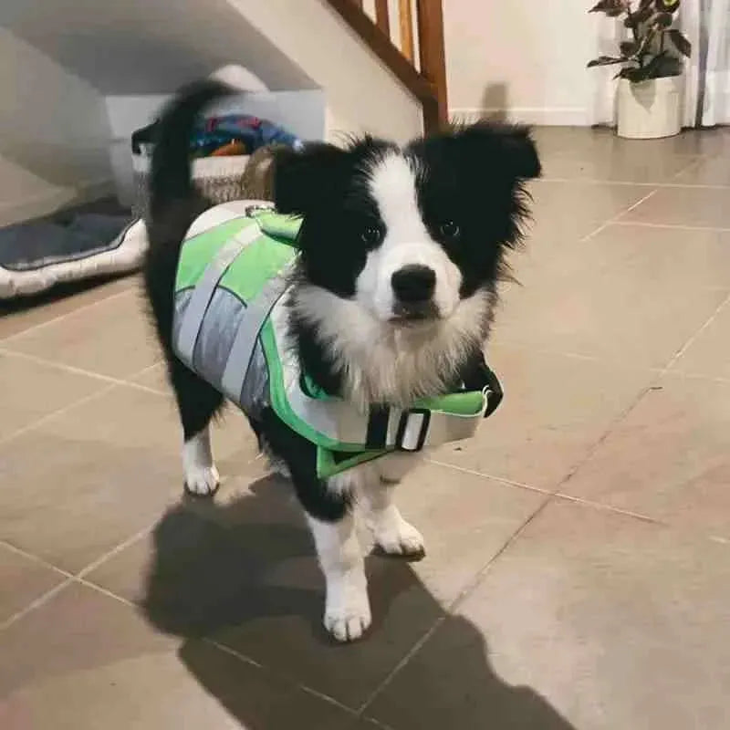 Colete Salva - Vidas Ajustável para Cachorros Até 25Kg - Mundo Animalito