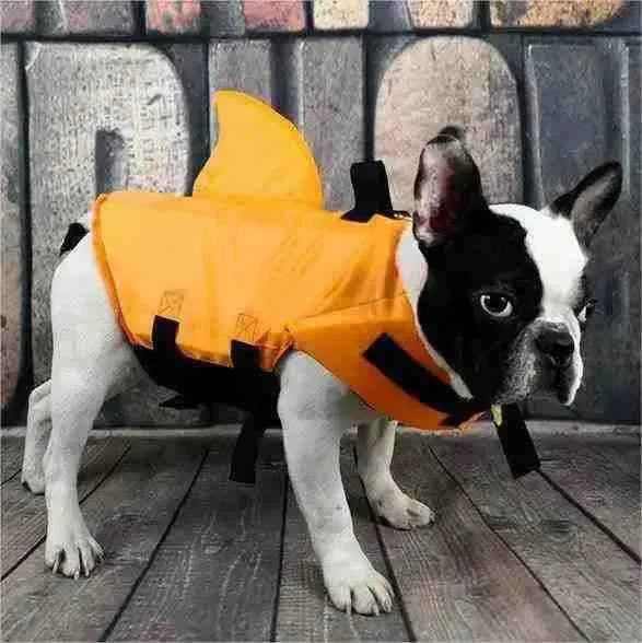 Colete Salva Vidas Cachorro Pet Floater Shark | Mundo Animalito - Mundo Animalito