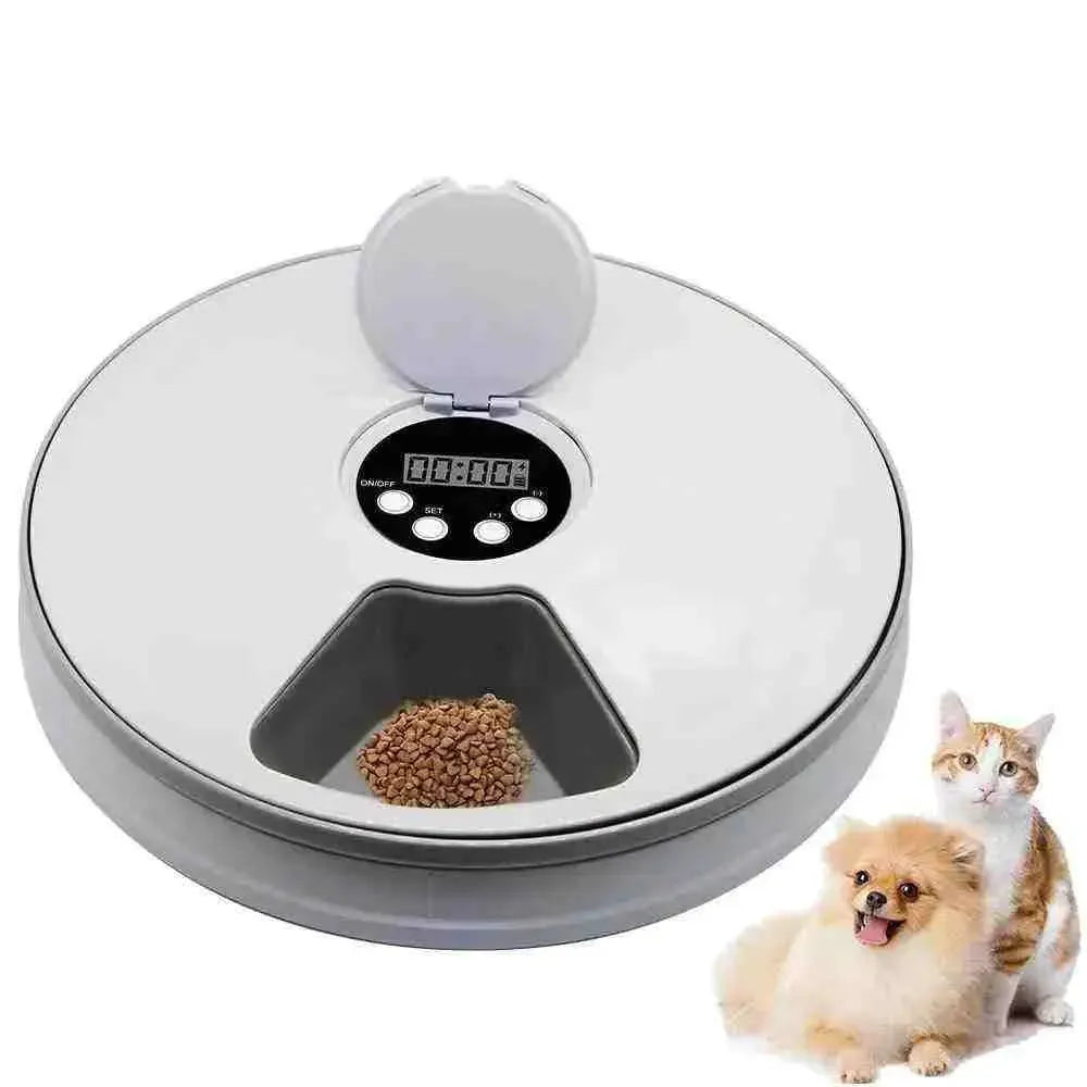 Comedouro Automático para Cães e Gatos - Mundo Animalito