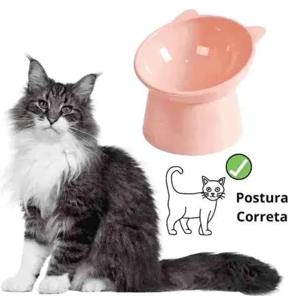 Comedouro para Gatos | Tigela Elevada, Ergonômica e Ortopédica - Mundo Animalito