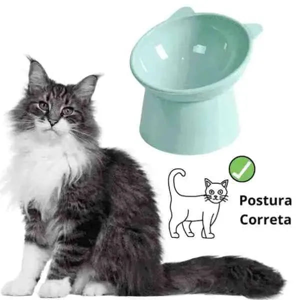 Comedouro para Gatos | Tigela Elevada, Ergonômica e Ortopédica - Mundo Animalito