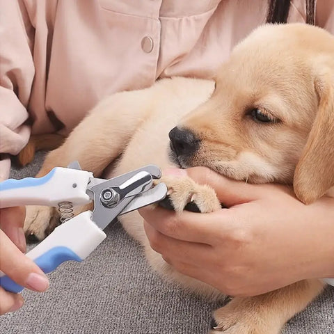 Alicate Cortador de Unha para Cachorros e Gatos