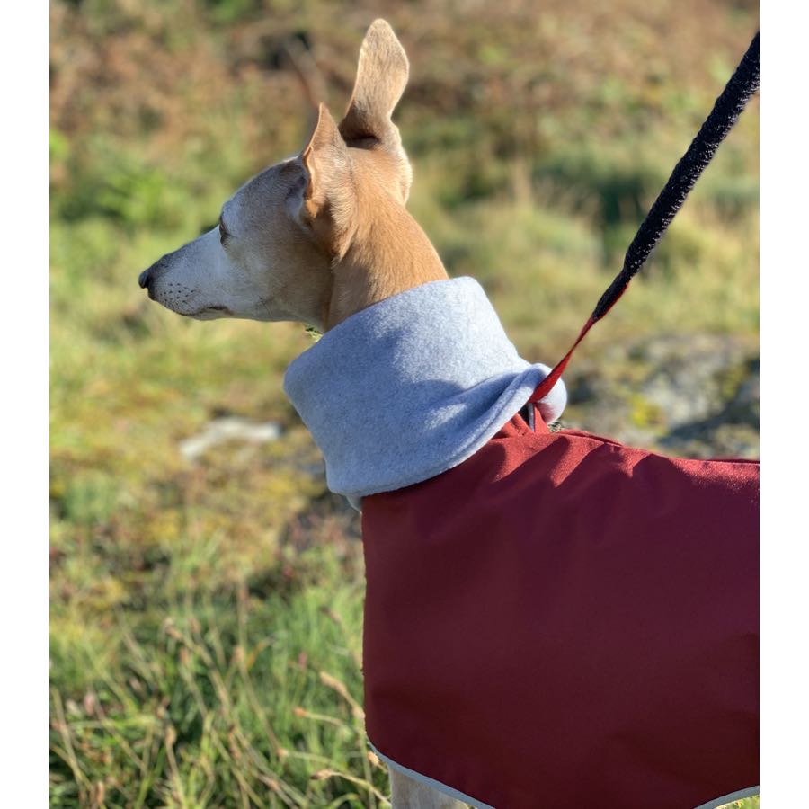 Casaco Impermeável 100% Algodão com Gola Alta para Cachorros Galgos