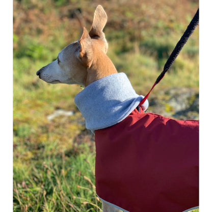 Casaco Impermeável 100% Algodão com Gola Alta para Cachorros Galgos