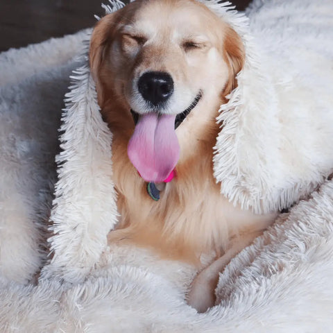 Cobertor Nuvem Anti Ansiedade e Stress para Cachorros e Gatos