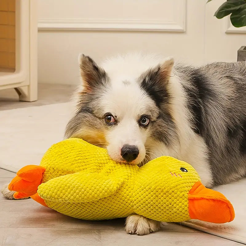 Brinquedo Pato para Cães