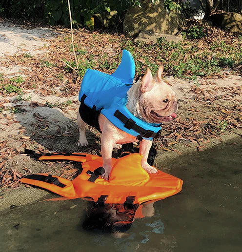 Colete Salva Vidas Cachorro Pet Floater Shark | Mundo Animalito