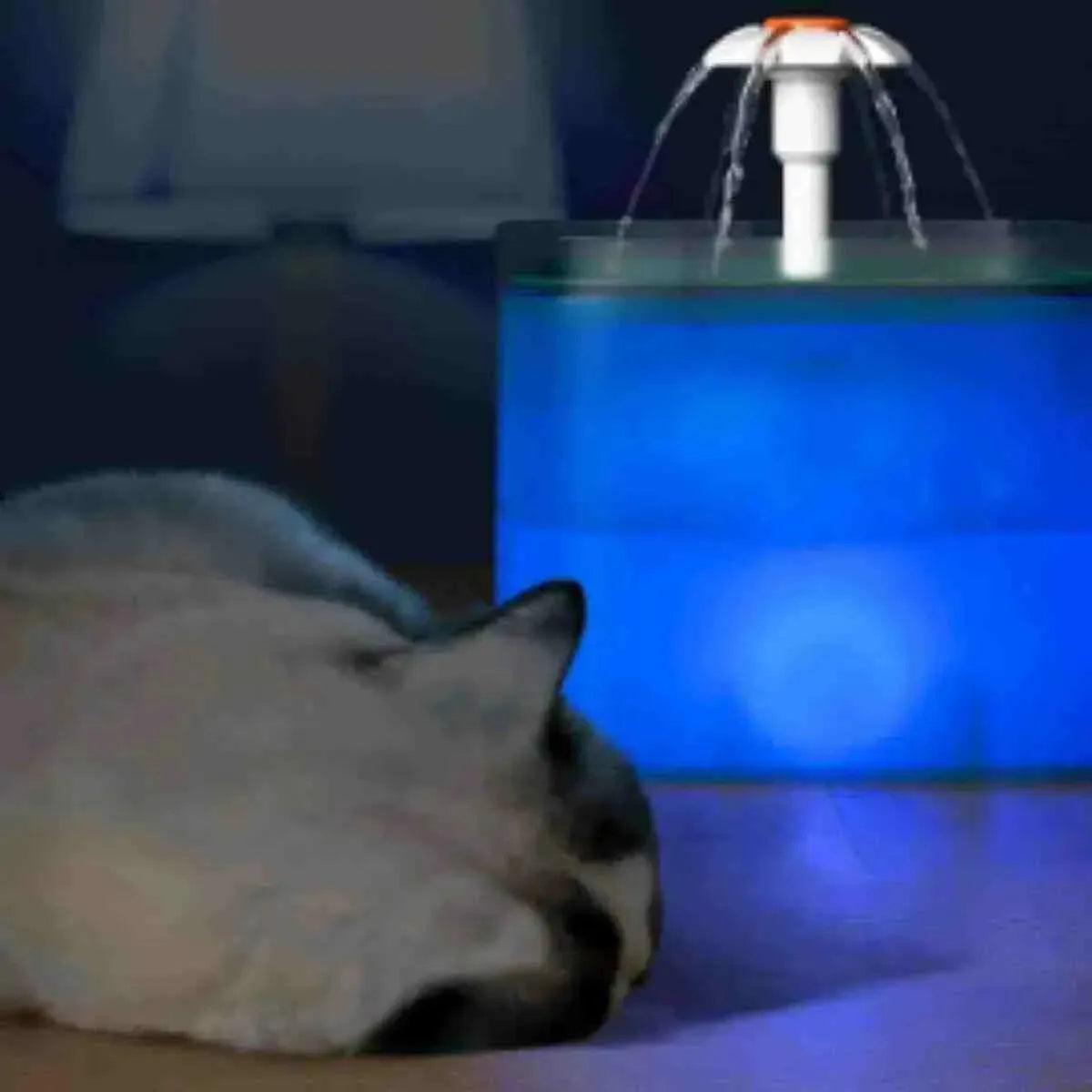 Fonte de água para gatos e cachorros com sensor de Movimento, LED e filtro de 4 camadas - Mundo Animalito