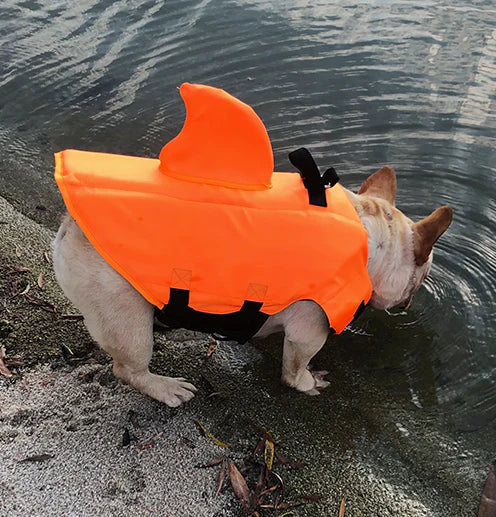 Colete Salva Vidas Cachorro Pet Floater Shark | Mundo Animalito
