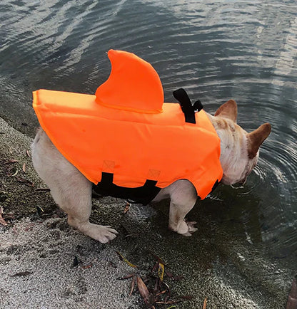Colete Salva Vidas Cachorro Pet Floater Shark | Mundo Animalito