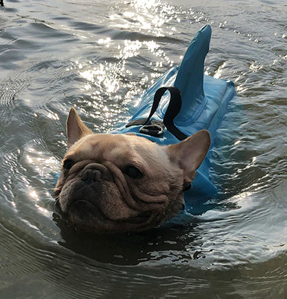 Colete Salva Vidas Cachorro Pet Floater Shark | Mundo Animalito