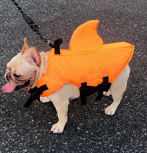 Colete Salva Vidas Cachorro Pet Floater Shark | Mundo Animalito