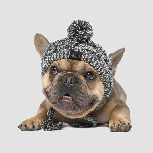 Gorro de Inverno para Cachorros | Mundo Animalito - Mundo Animalito