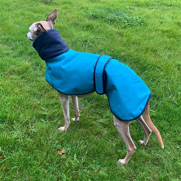 Casaco Impermeável 100% Algodão com Gola Alta para Cachorros Galgos