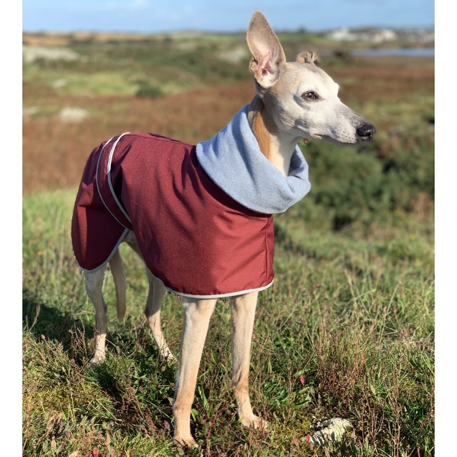 Casaco Impermeável 100% Algodão com Gola Alta para Cachorros Galgos