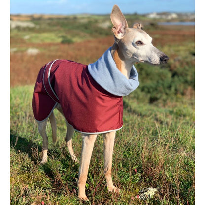 Casaco Impermeável 100% Algodão com Gola Alta para Cachorros Galgos