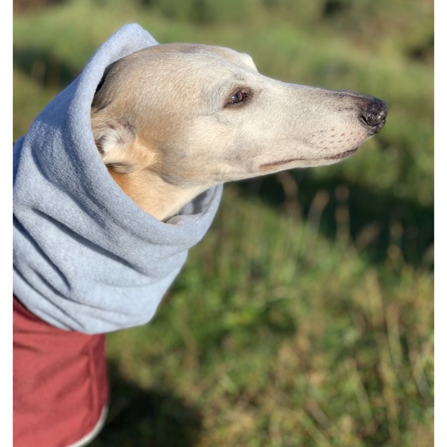 Casaco Impermeável 100% Algodão com Gola Alta para Cachorros Galgos