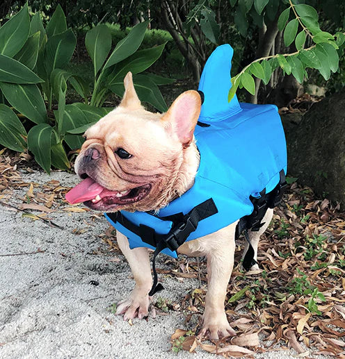 Colete Salva Vidas Cachorro Pet Floater Shark | Mundo Animalito